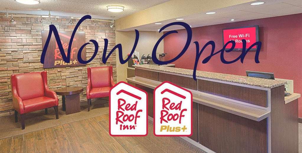 Red Roof Inn Plus+ Columbus - ワージントン インテリア 写真